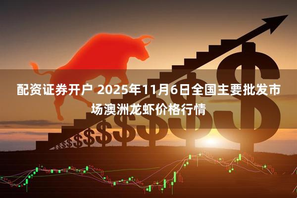 配资证券开户 2025年11月6日全国主要批发市场澳洲龙虾价格行情