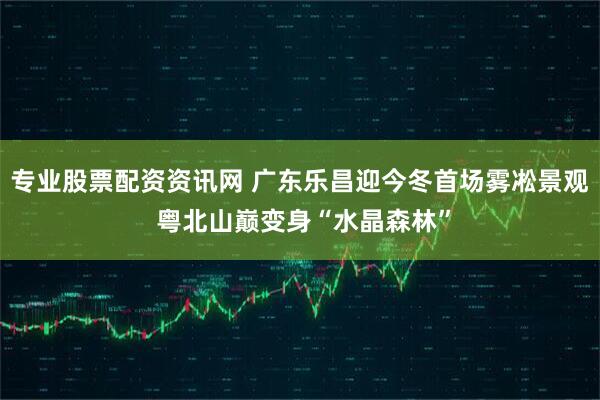 专业股票配资资讯网 广东乐昌迎今冬首场雾凇景观 粤北山巅变身“水晶森林”